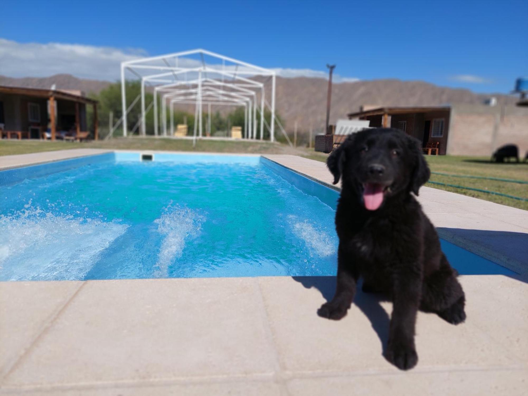 Abril Lodge *